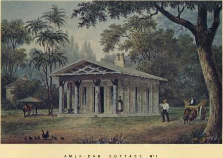 An American Cottage